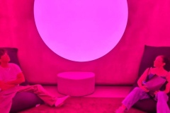 CryptoPunk Museum