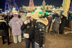 Austria Carnival